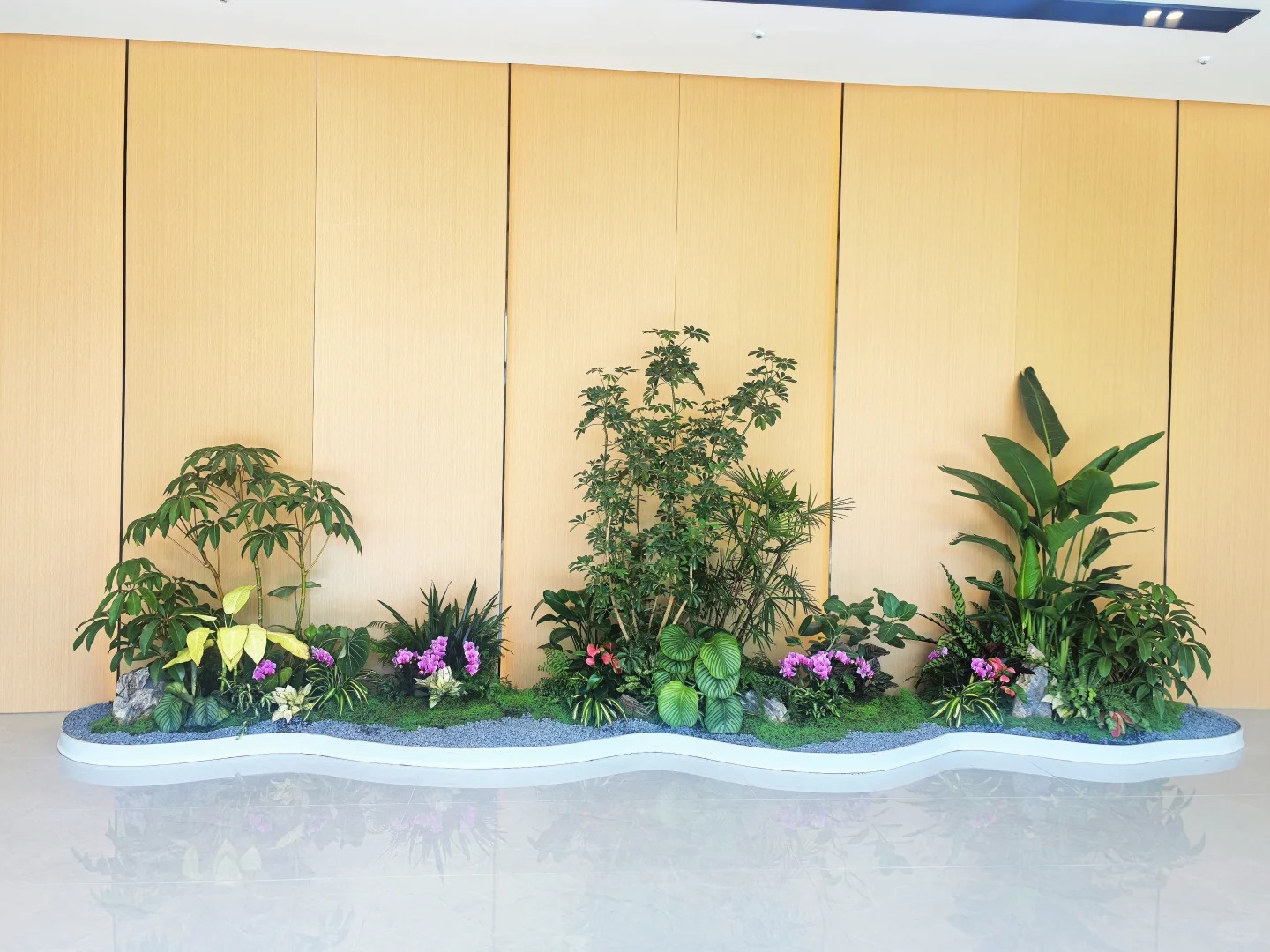 专业植物租赁，宁波余姚绿植美化空间首选